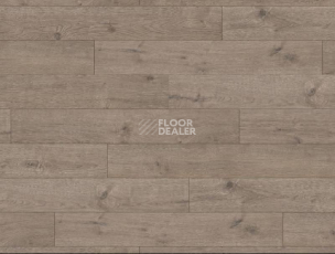 Ламинат Haro Tritty 100 4V ДУБ ПОРТЛЭНД СЕРЫЙ 533121 фото 1 | FLOORDEALER